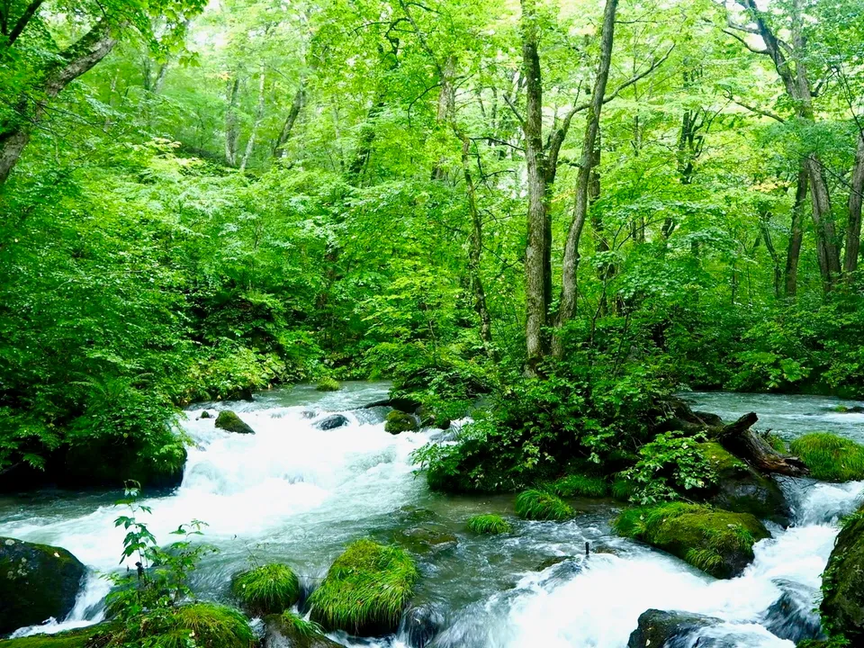 Oirase Gorge, Aomori Prefecture, Japan