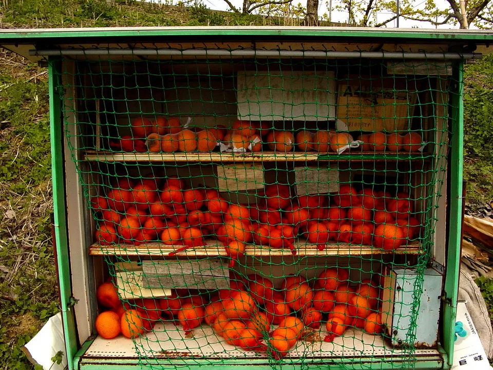 Mikan, Ehime Prefecture, Japan