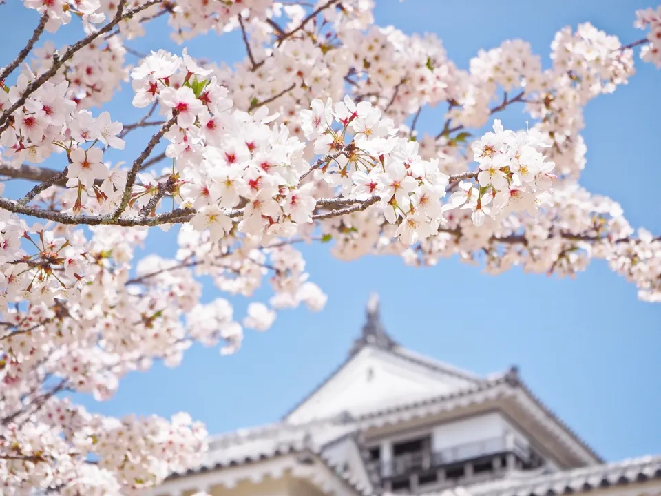 Matsuyama Castle, Ehime Prefecture, Japan
