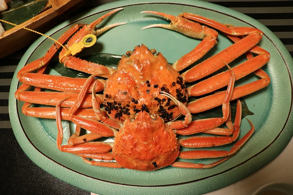 Echizen Crab, Fukui Prefecture, Japan