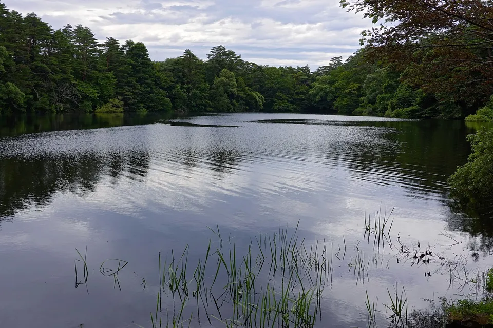 Goshiki-numa Ponds, Fukushima Prefecture, Japan