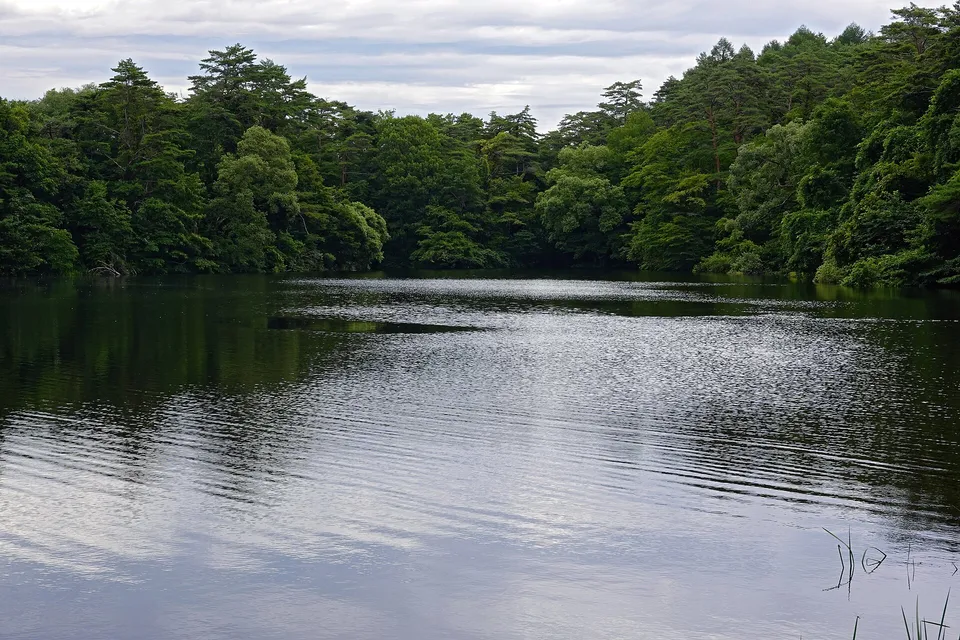 Goshiki-numa Ponds, Fukushima Prefecture, Japan
