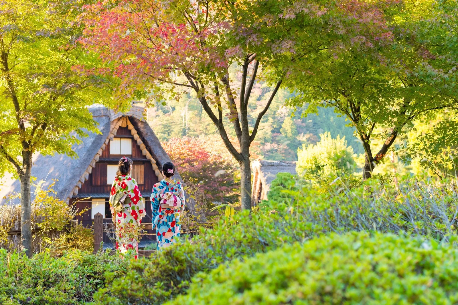 Shirakawa-gō gasshō-zukuri village, Gifu Prefecture, Japan