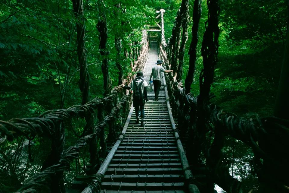 Crossing the vine bridge, Tokushima Prefecture, Japan