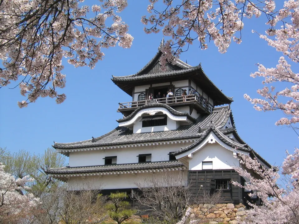 Inuyama Castle in cherry-blossom season — one of the twelve original keeps