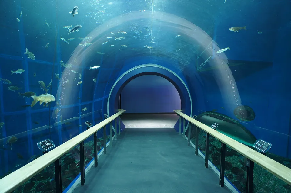 The tunnel tank at the Lake Biwa Museum