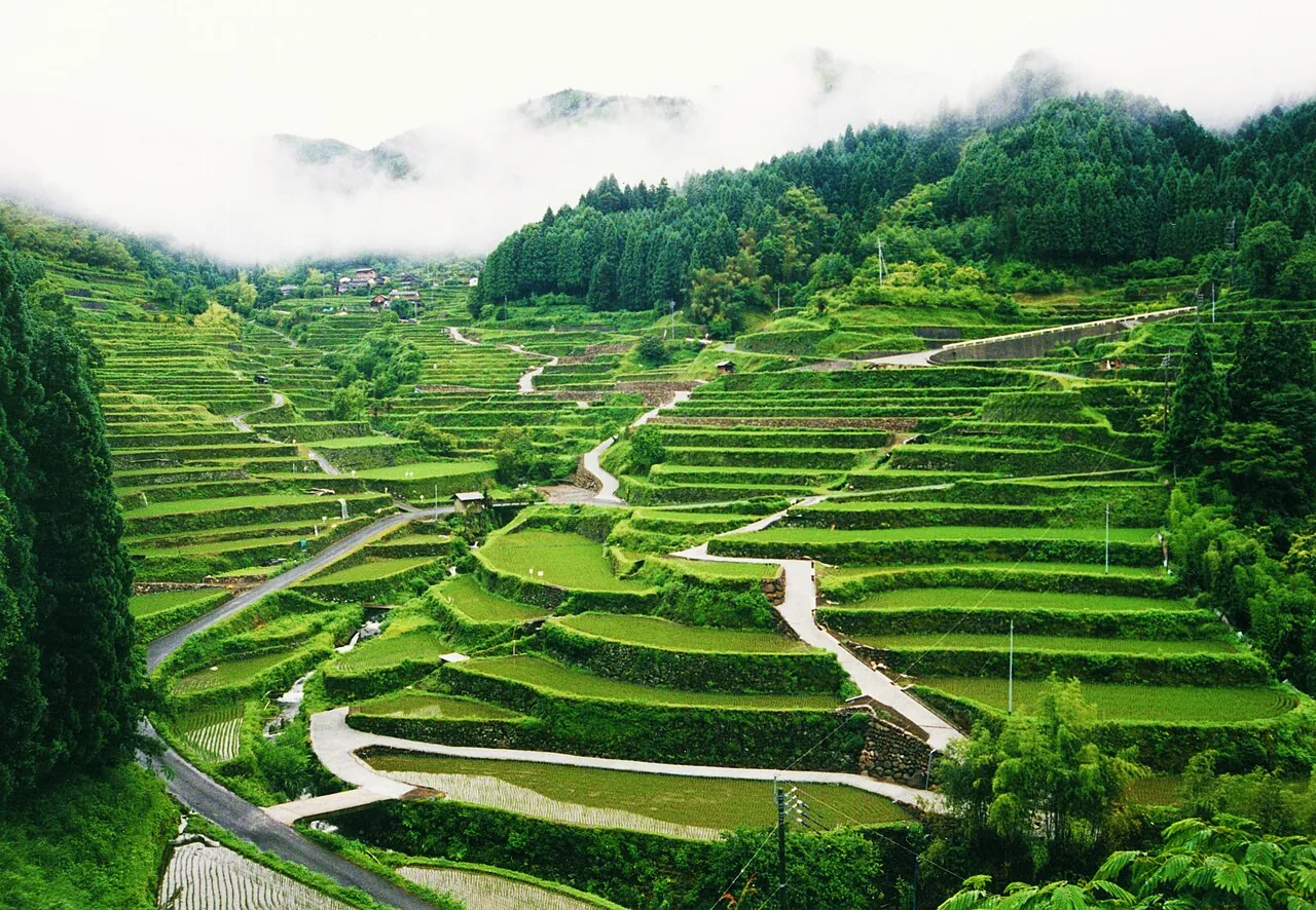 Tsuzura rice terraces in early summer, Ukiha, Fukuoka