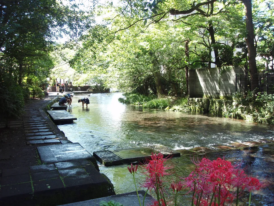 The Genbei River, spring water through central Mishima