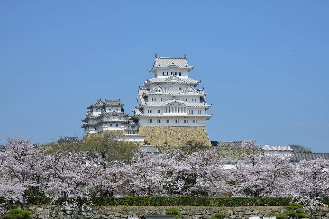Himeji Castle with cherry blossoms, Japan