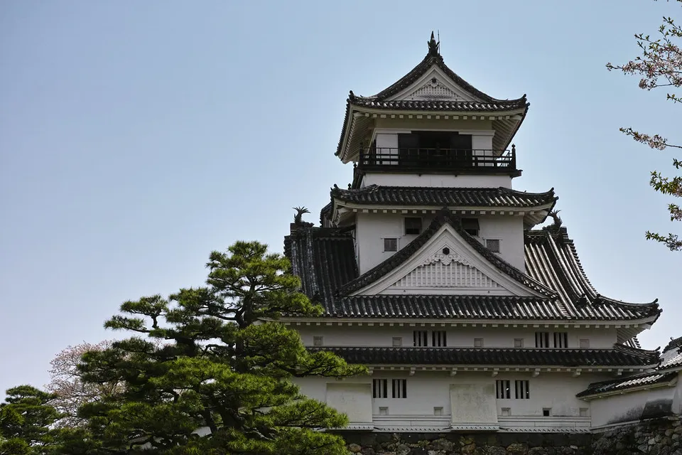 Kochi Castle, Kochi Prefecture, Japan