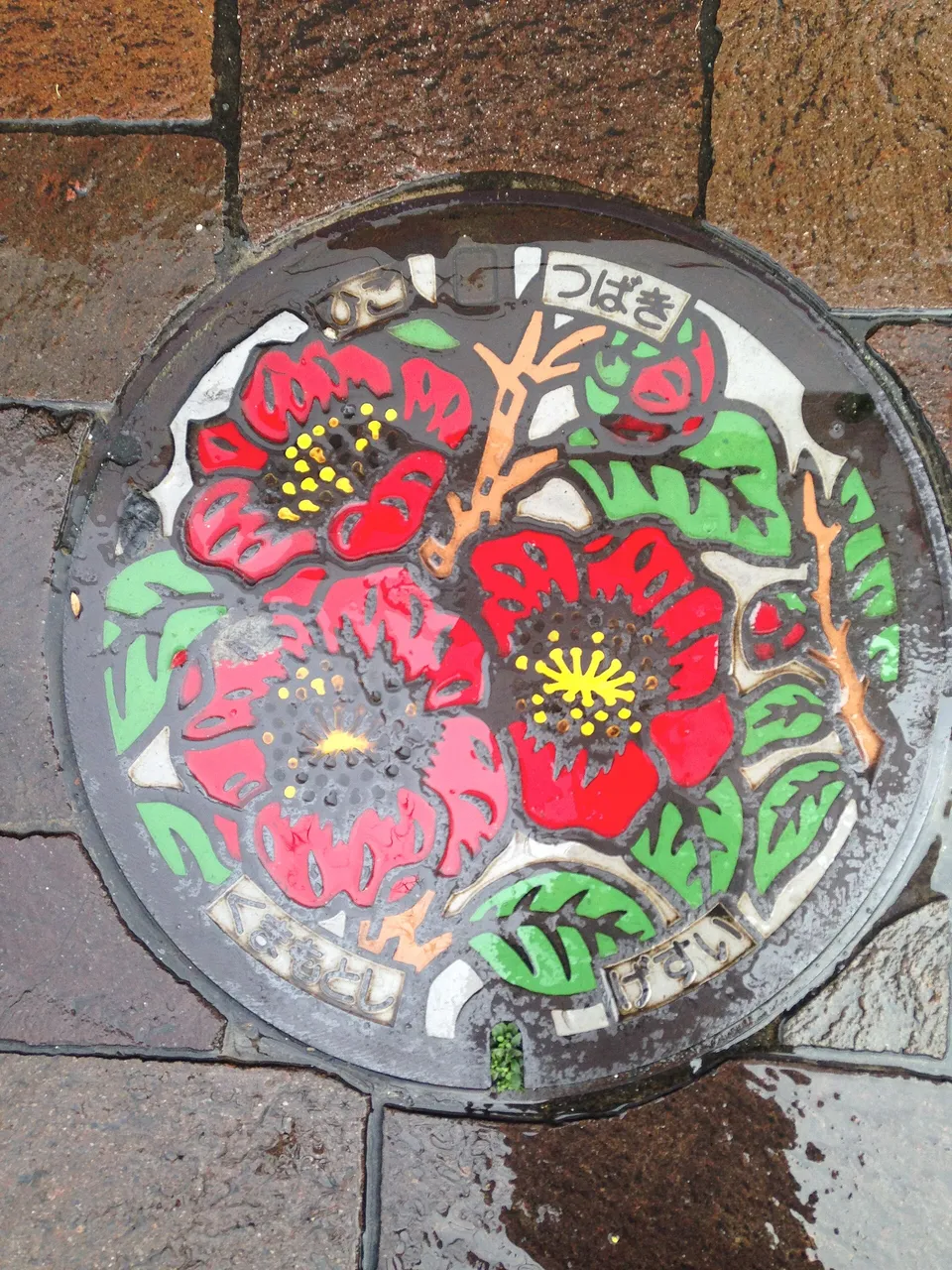 Kumamoto city cover