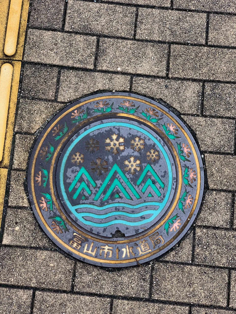Toyama city cover