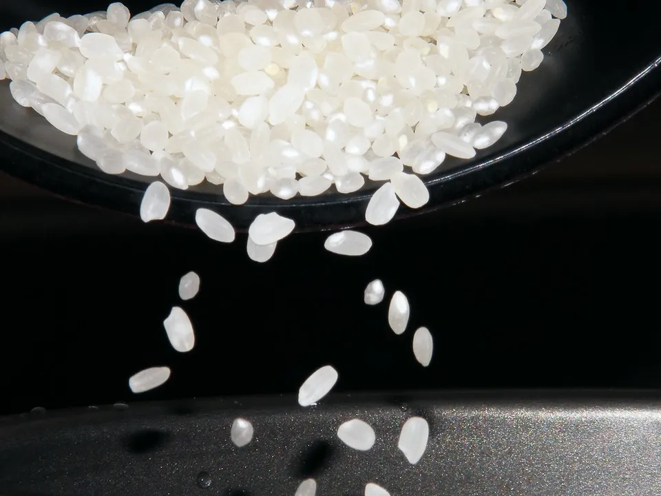 Koshihikari rice, Niigata Prefecture, Japan