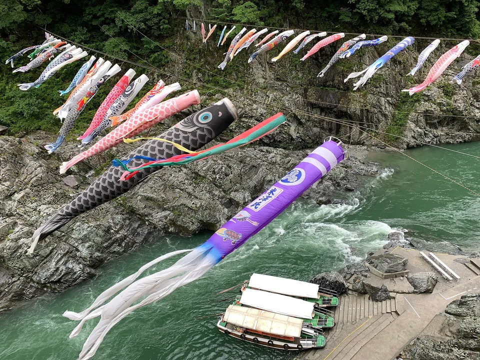 Koinobori over the gorge in May, Tokushima Prefecture, Japan