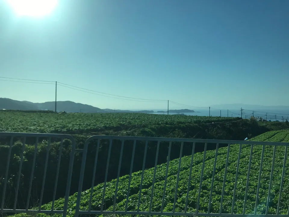 Kunisaki Peninsula, Oita Prefecture, Japan