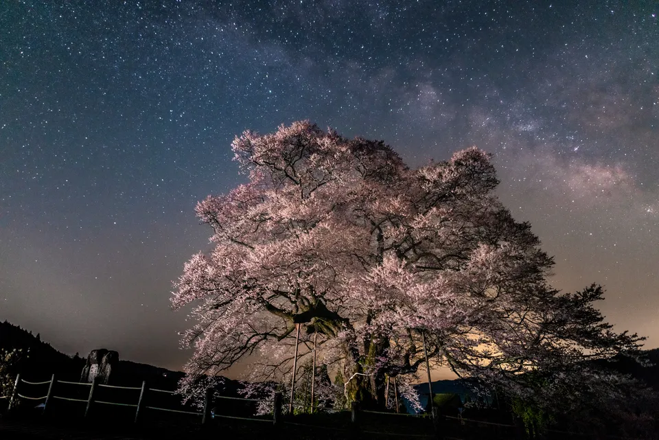 Okayama Castle, Okayama Prefecture, Japan