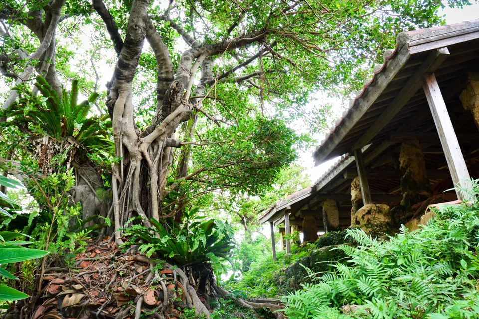 Yachimun no Sato pottery village, Okinawa Prefecture, Japan