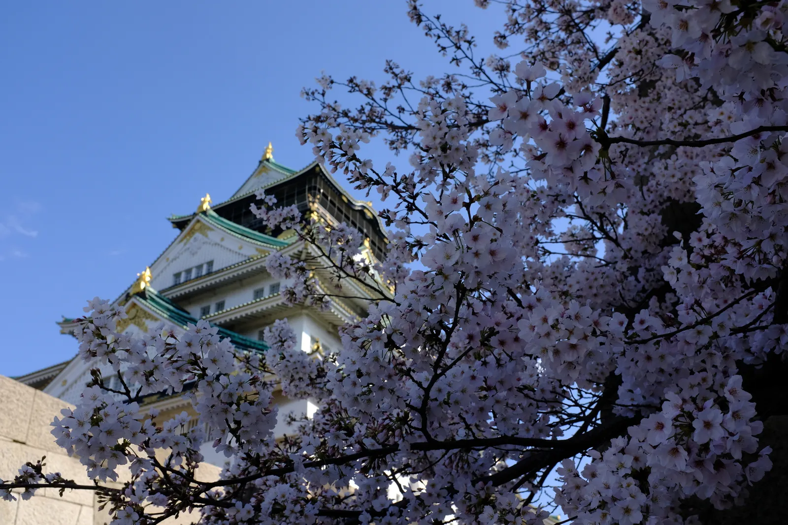Osaka Castle, Osaka Prefecture, Japan