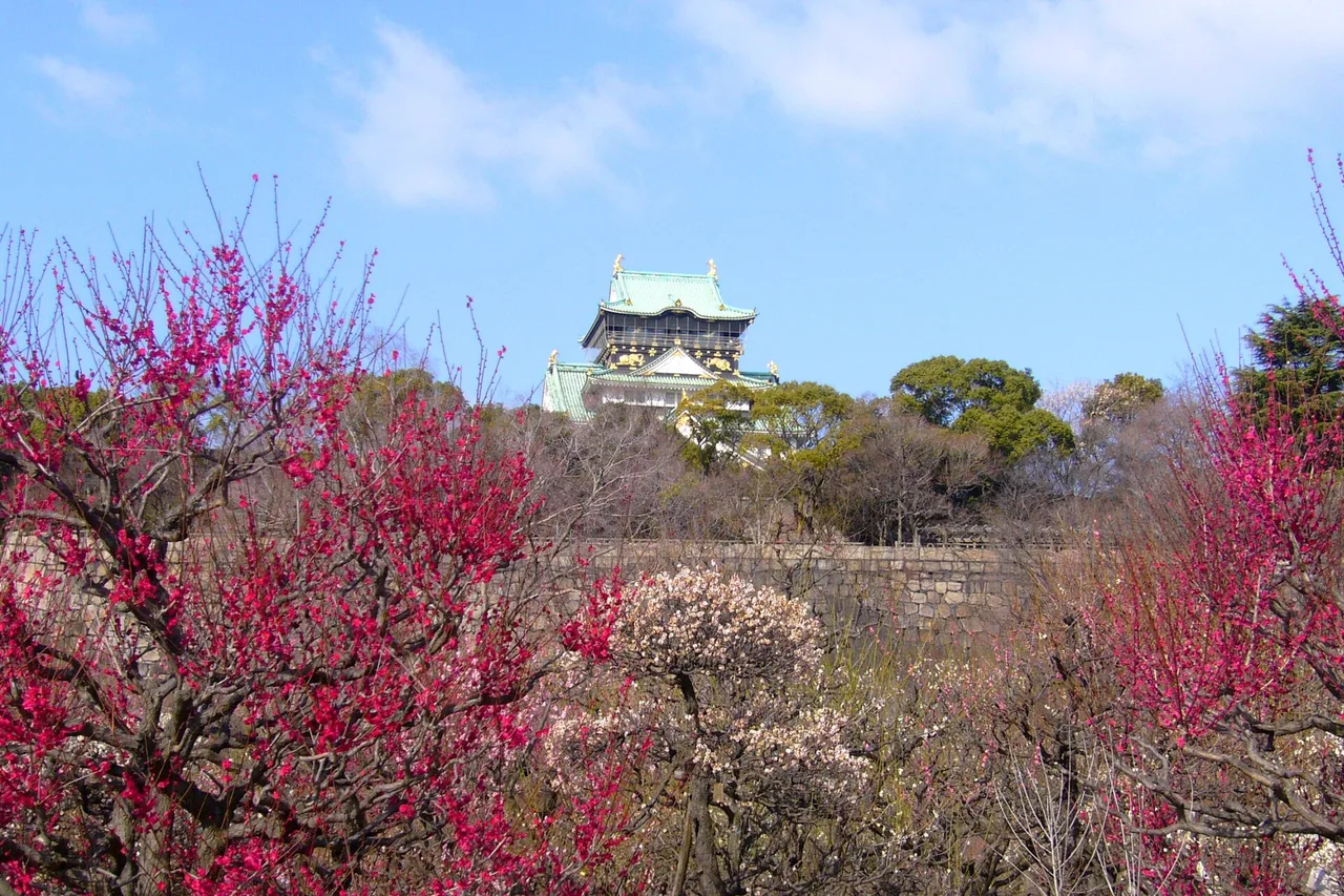 Osaka Castle Tenshu Keep Tower, Osaka Prefecture, Japan
