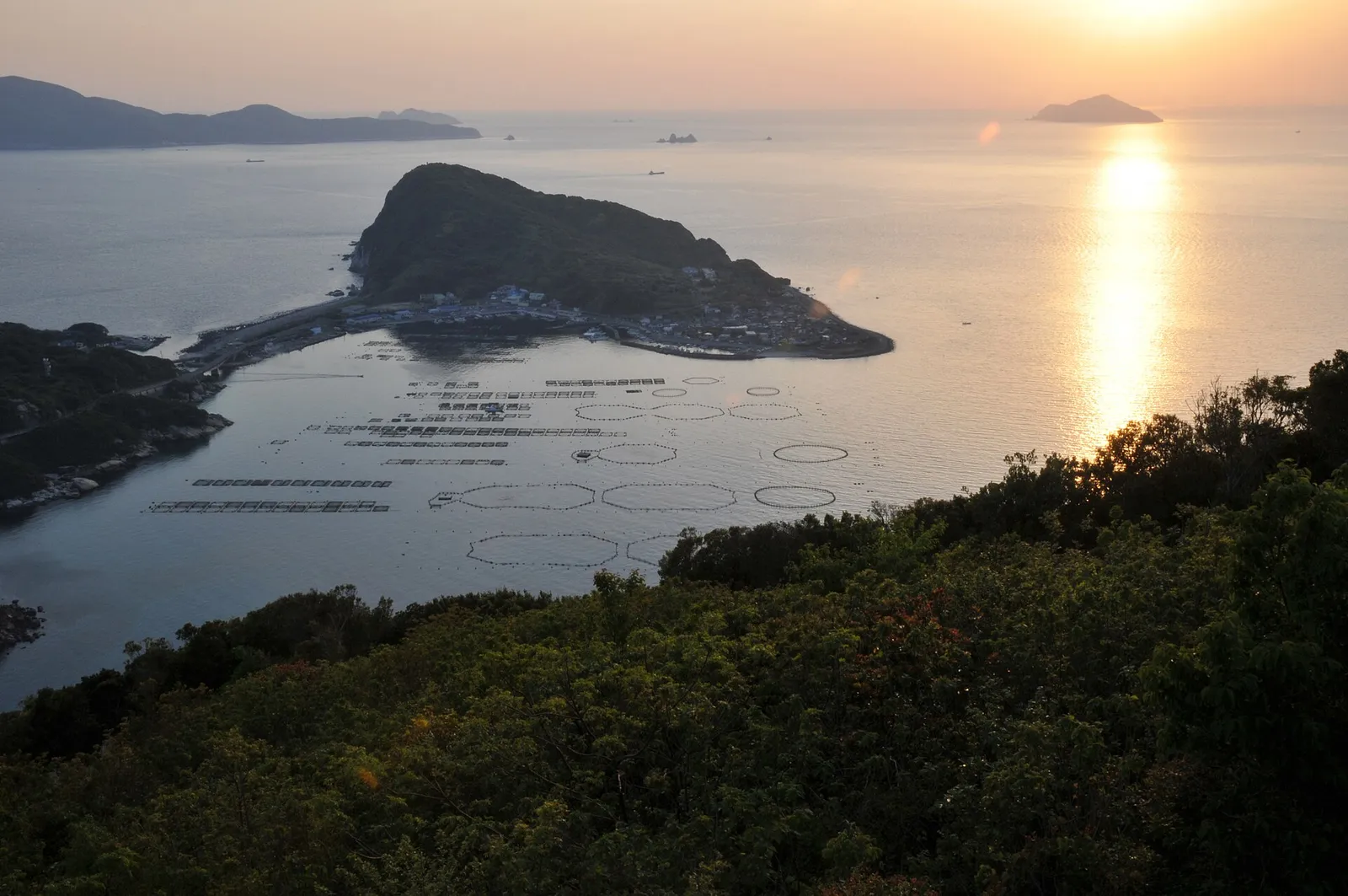 Kashiwajima, Kōchi — a fishing village on a bridged islet at the end of Shikoku