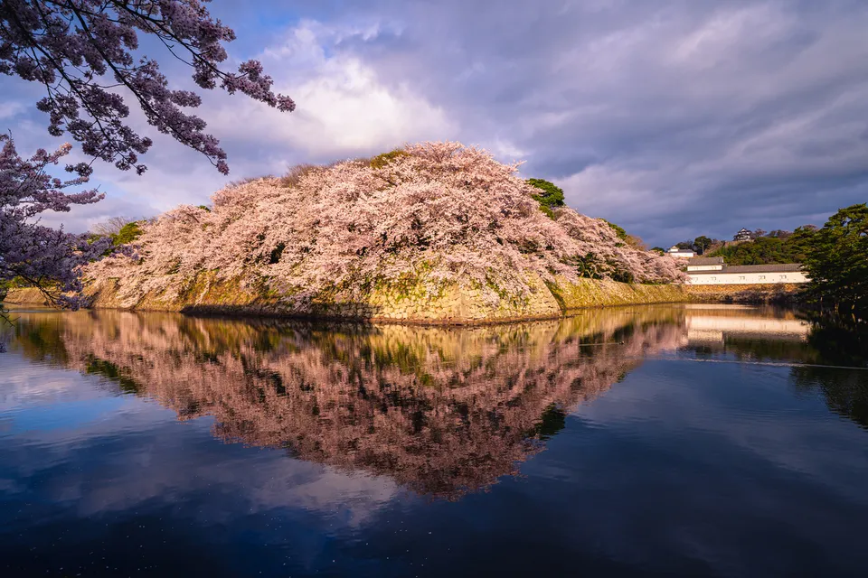 Hikone Castle, Shiga Prefecture, Japan
