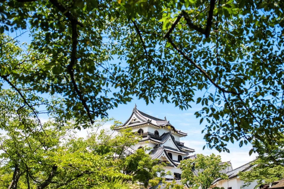 Hikone Castle, Shiga Prefecture, Japan