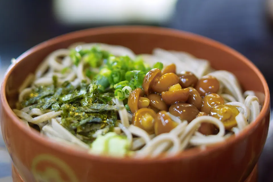 Izumo soba, Shimane Prefecture, Japan