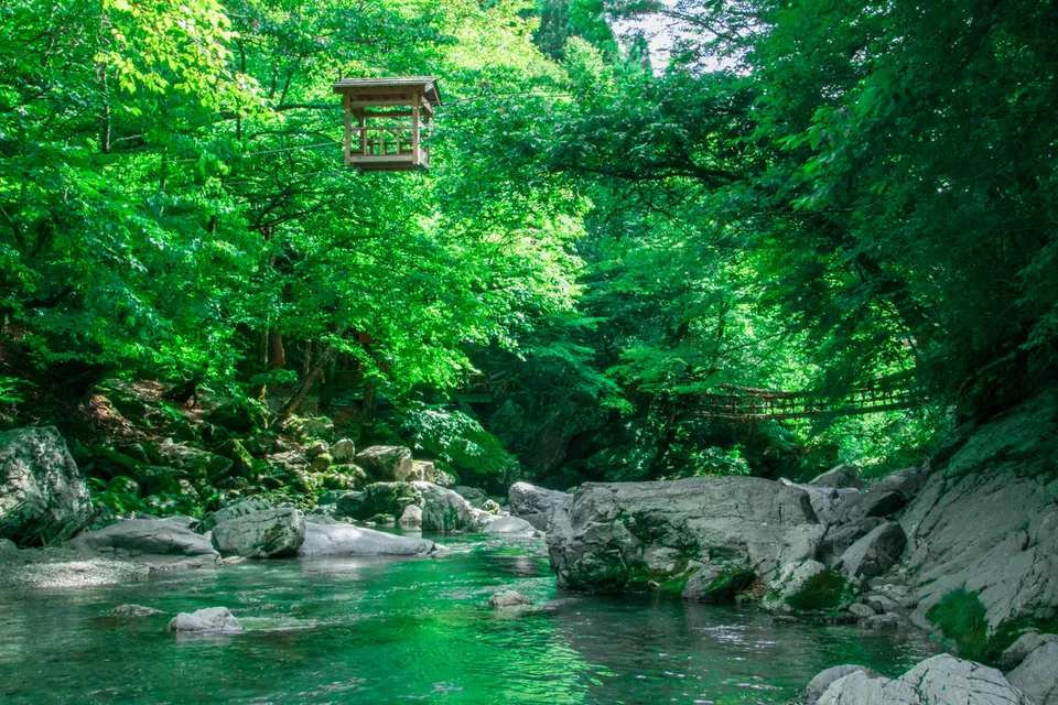 Iya Valley, Tokushima Prefecture, Japan