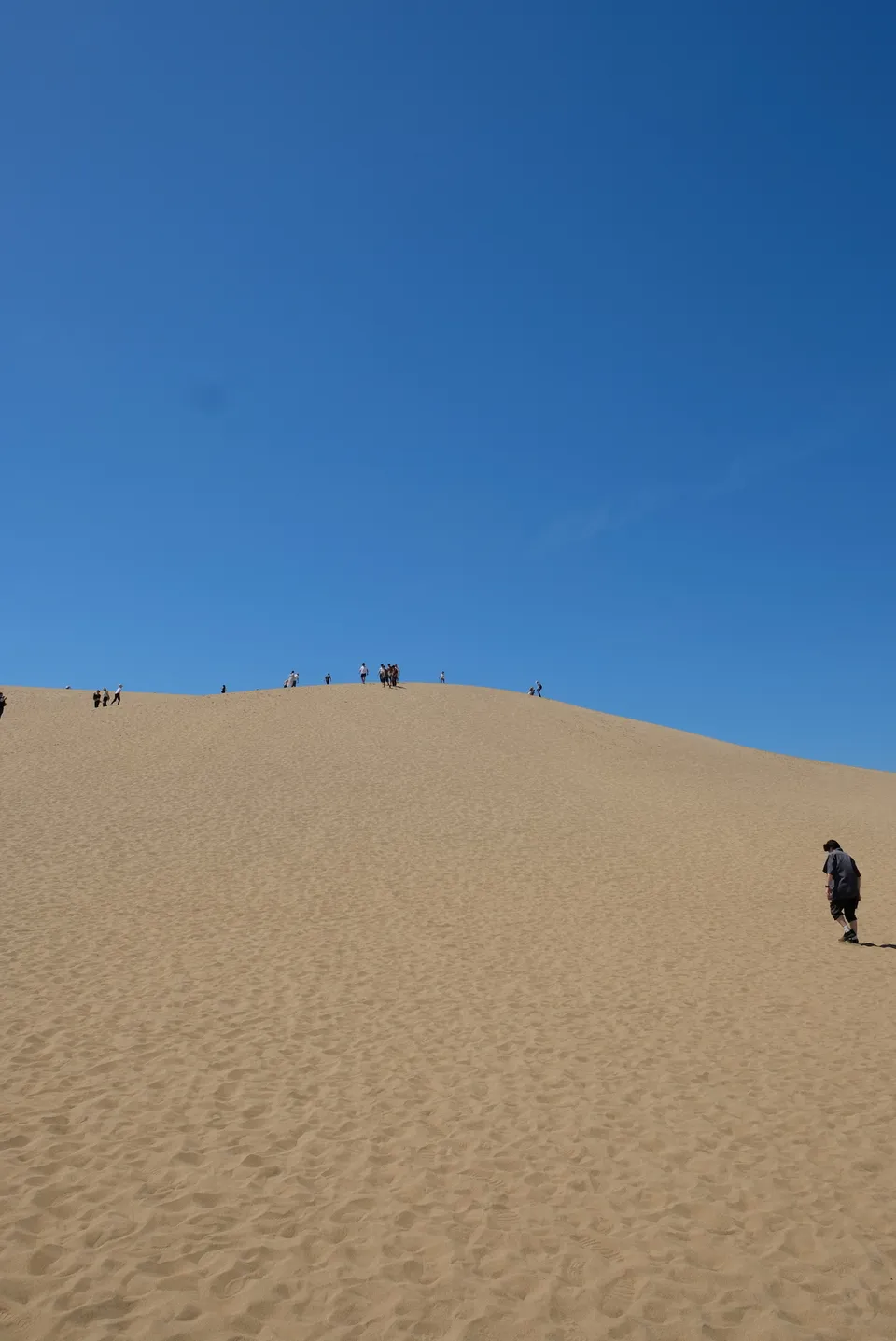 Tottori Sand Dunes, Tottori Prefecture, Japan