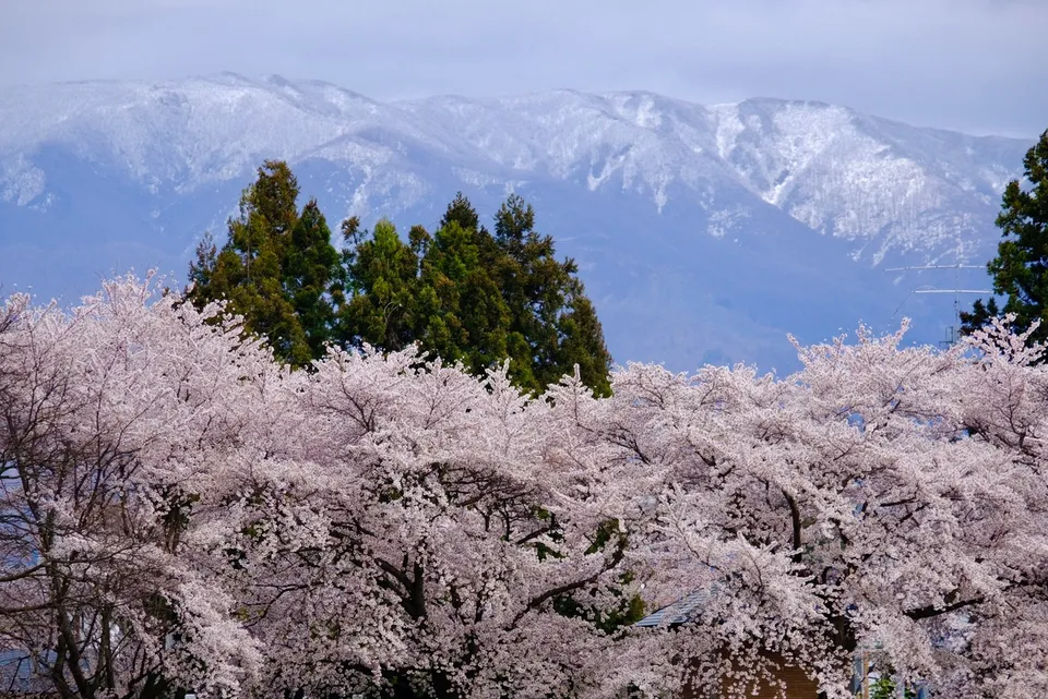 Mount Zao, Yamagata Prefecture, Japan